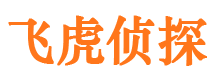 小河市侦探公司